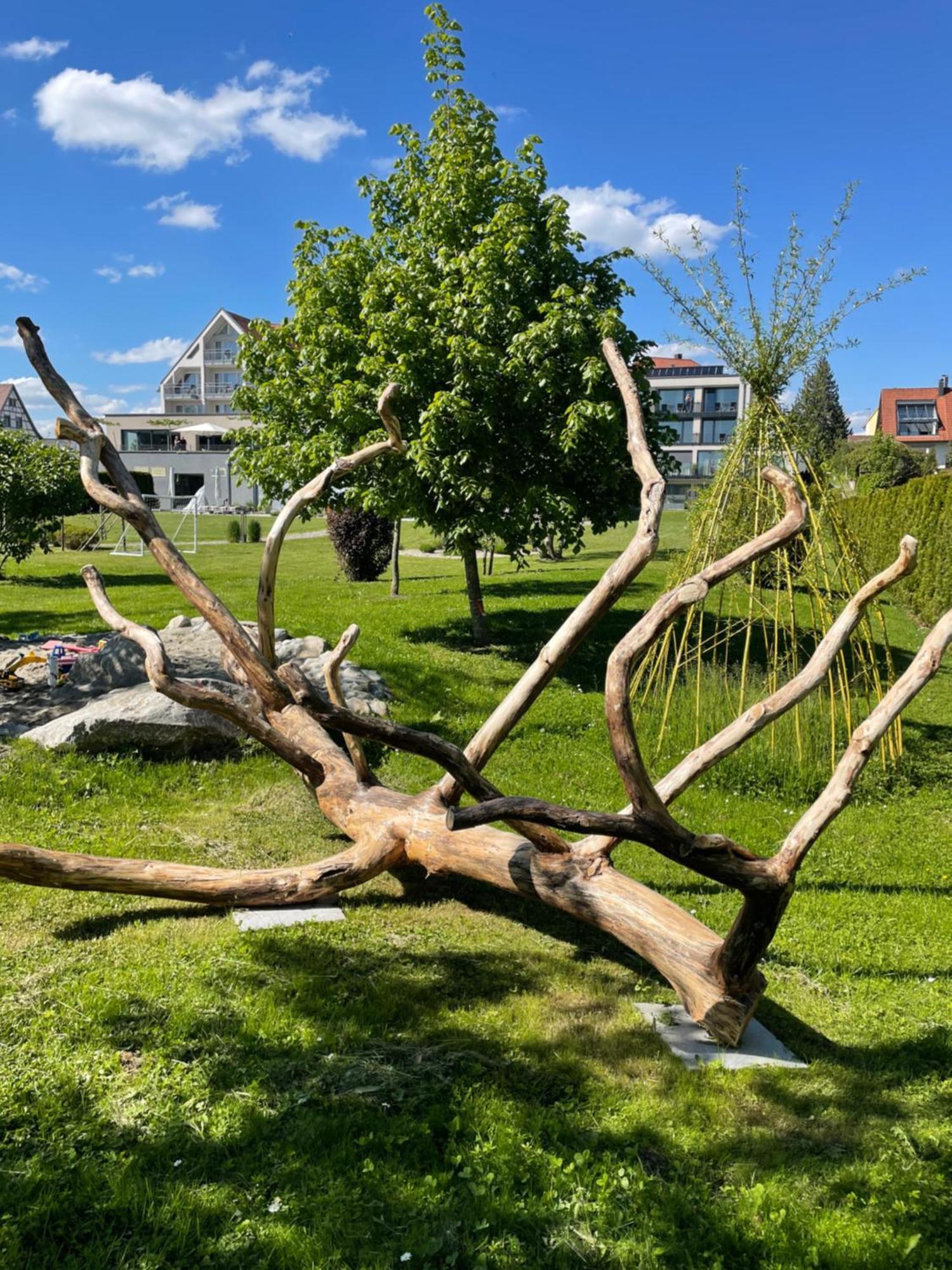 Hotel Traube Am See FDH Exterior foto